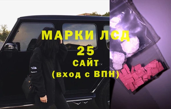 ECSTASY Богородицк