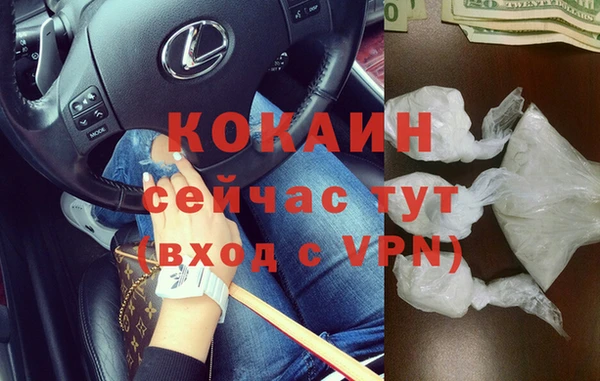 ECSTASY Богородицк