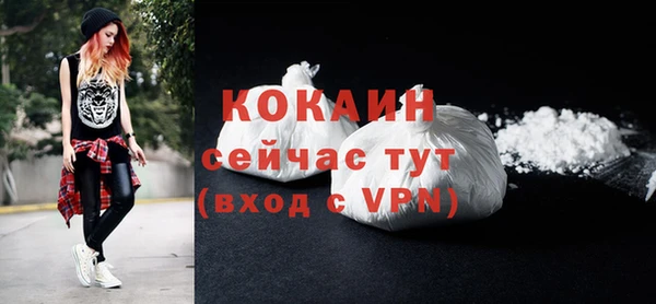 mdpv Богданович