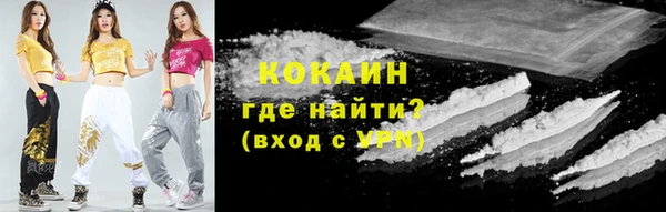 mdpv Богданович