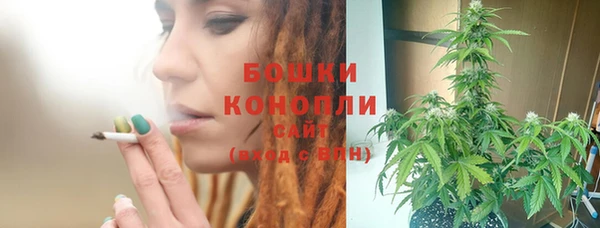 mix Богородск
