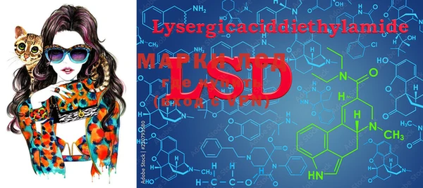 ECSTASY Богородицк