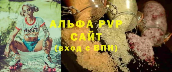ECSTASY Богородицк