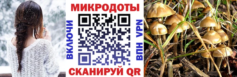 Галлюциногенные грибы GOLDEN TEACHER  цена наркотик  Красавино 